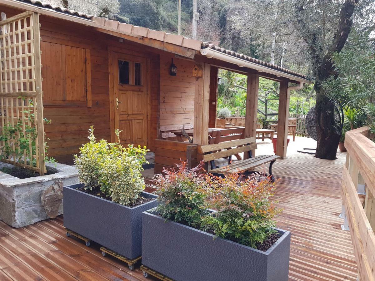 Le Chalet De Valentine & Laurent Olmiccia Kültér fotó